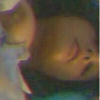 Angel Cakie Nua