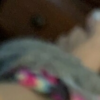 butterflylovebug Nua