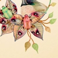 Colleen Parker Nua