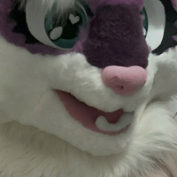 knotkitten Nua