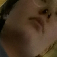 nordickitten Nua