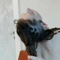 stalliondaddy Nua