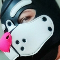 vixxypup Nua